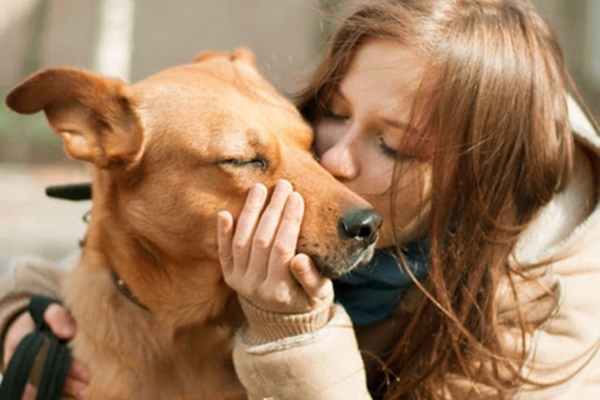 dare un bacio al cane