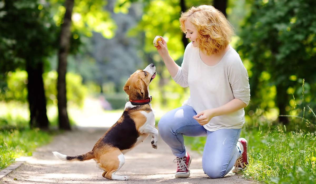 giocare con il cane