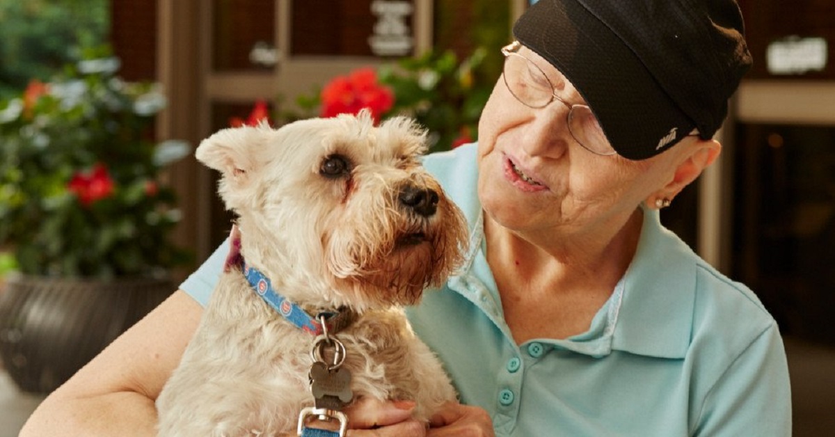 Il cane fa visita alla proprietaria che sta combattendo contro il cancro