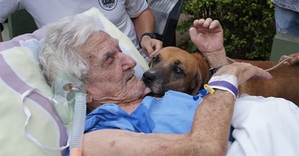 Il cane restituisce la felicità al proprietario con una semplice visita