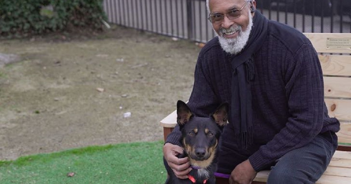 Il cane venuto a mancare viene seppellito, ricompare alcuni giorni dopo