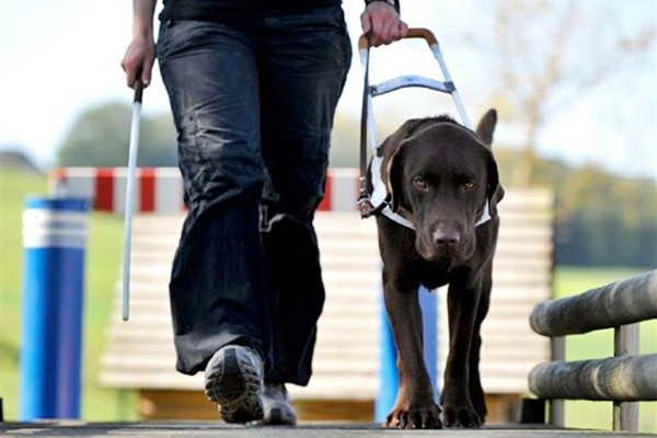 portare il cane al guinzaglio