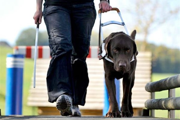 portare il cane al guinzaglio