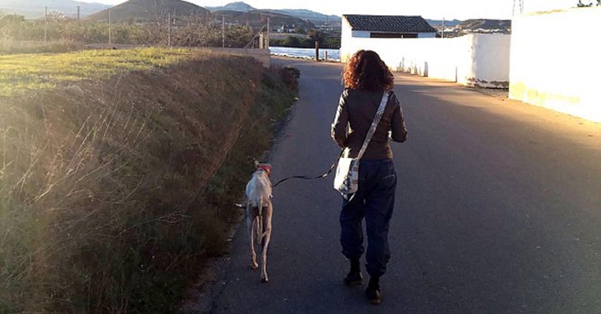 Mamma cane salva i suoi cuccioli nonostante la zampa fratturata