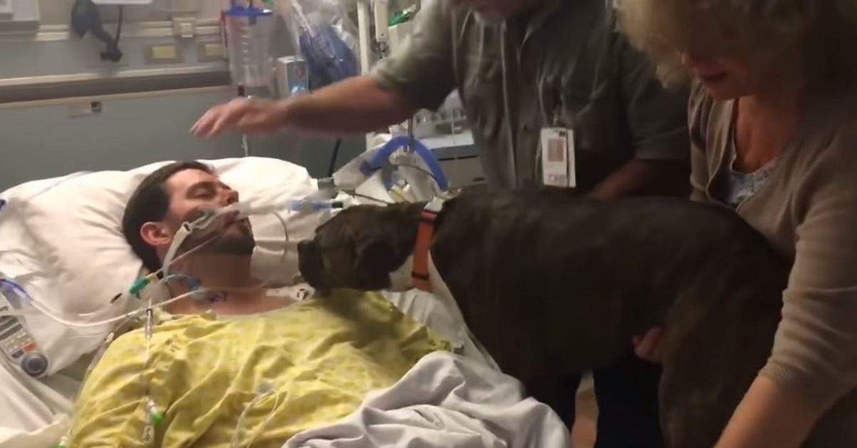 Cane dice addio al proprietario in ospedale: il momento commovente – VIDEO