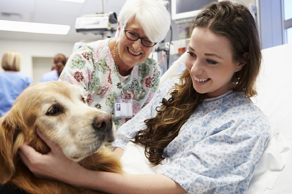 cane fa pet therapy