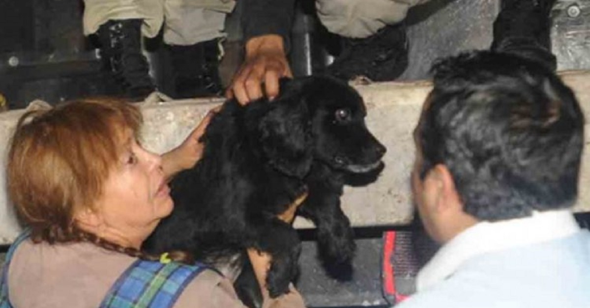 40 cani intrappolati in casa, la polizia effettua il salvataggio (VIDEO)