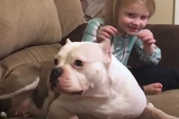 Cane con una bambina