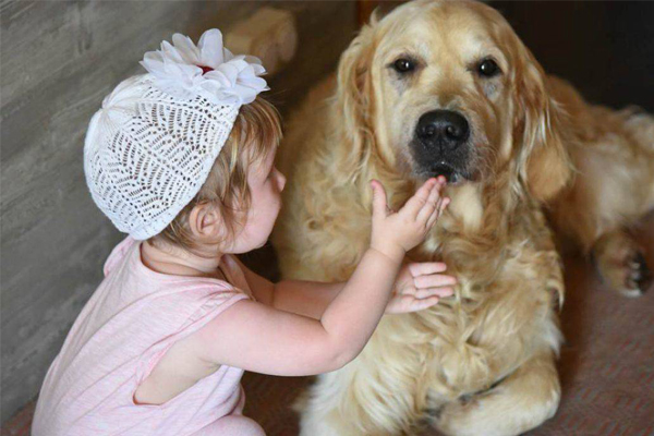 Cane con un bambino