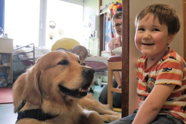 Cane con un bambino