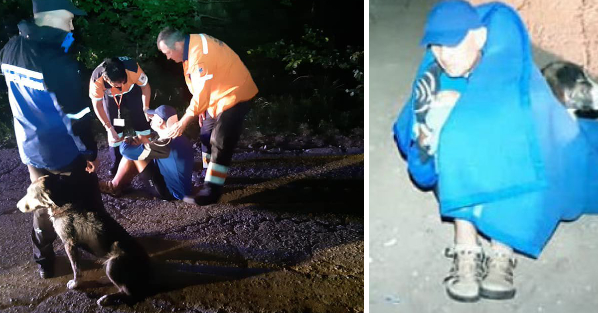 Squares, il cagnolino randagio che ha salvato la vita ad un ciclista