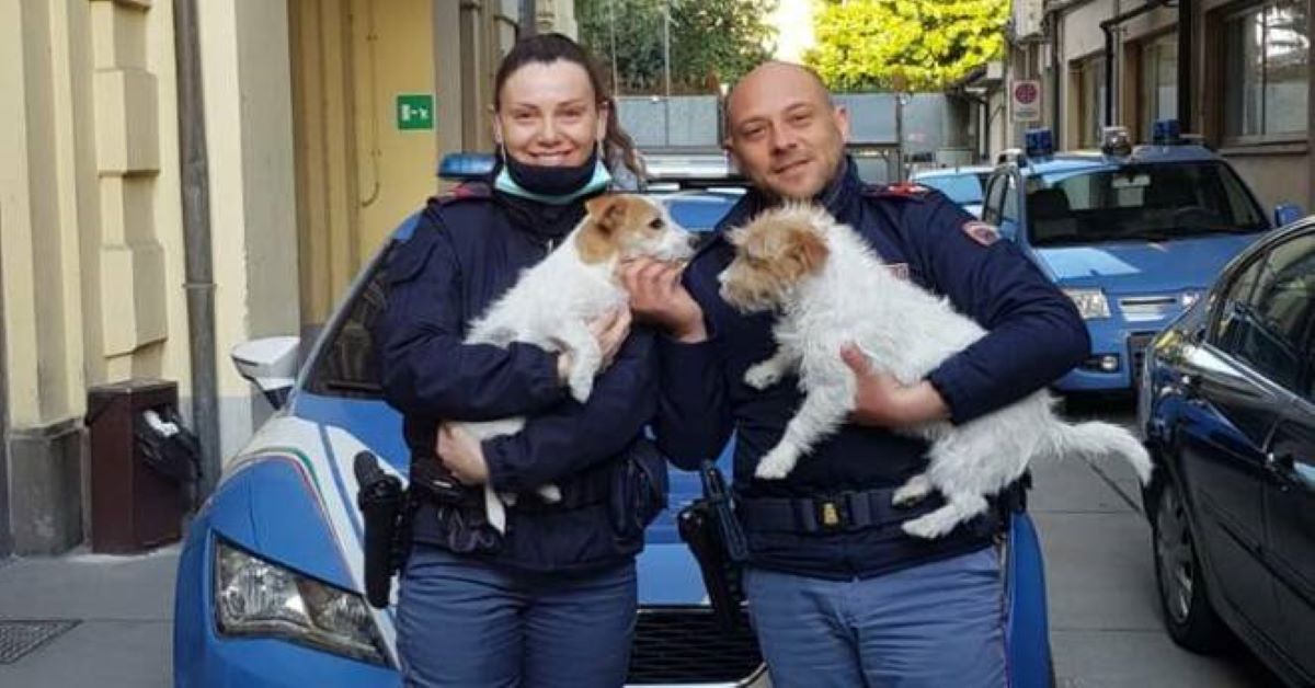 Mamma cane e il suo cagnolino tornano a casa