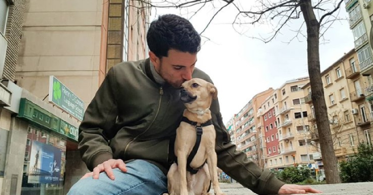 Cane vede il parco chiuso a causa del coronavirus e si dispiace (VIDEO)