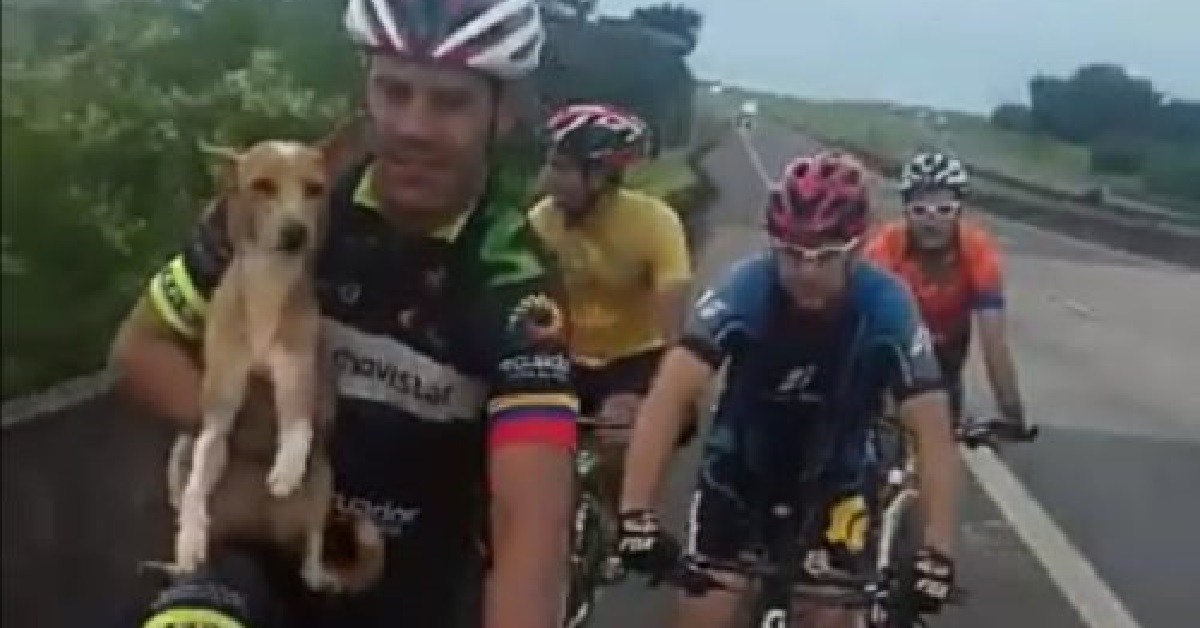 Il casuale salvataggio del cane da parte di alcuni ciclisti brasiliani (VIDEO)