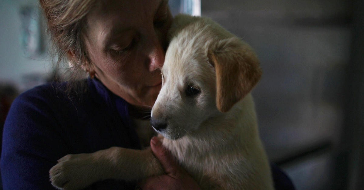 Murphy, il cane che rincontra la mamma soldato (video)