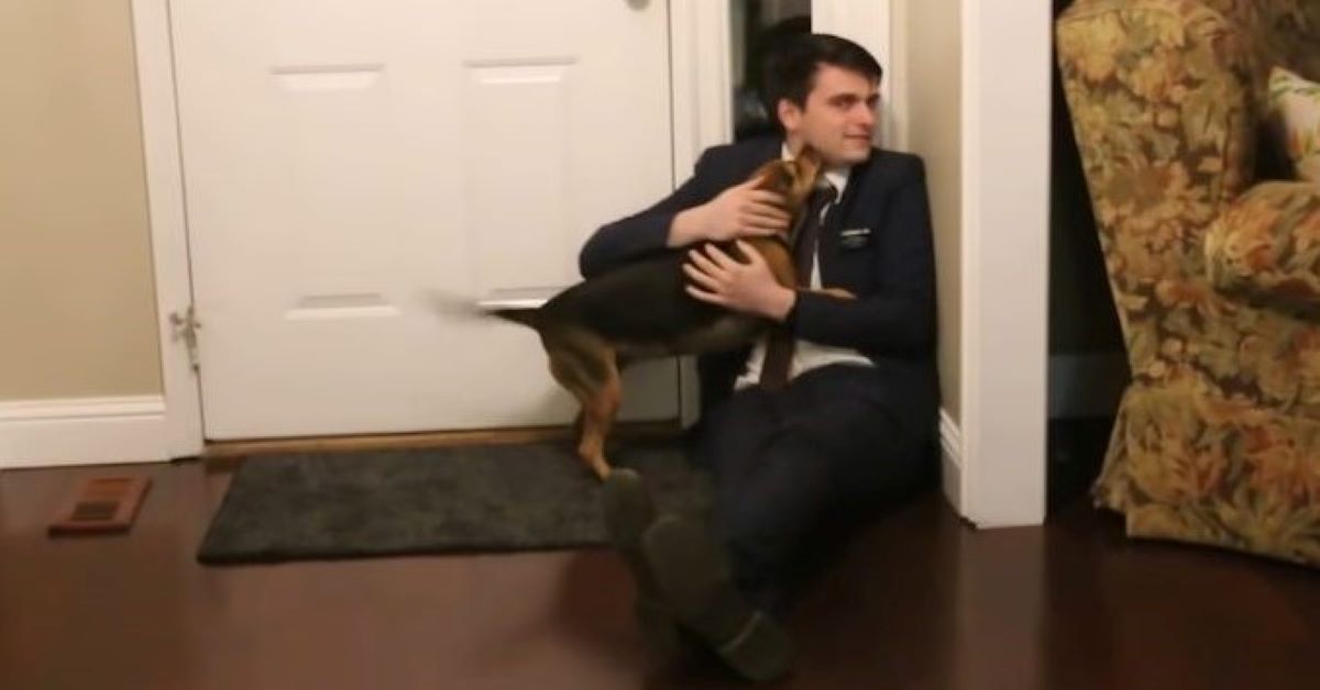 Bailey, il cane che rivede il padrone dopo due anni (video)