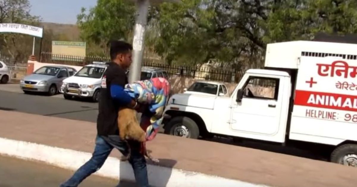 Florence, il cane investito da un treno e salvato (video)