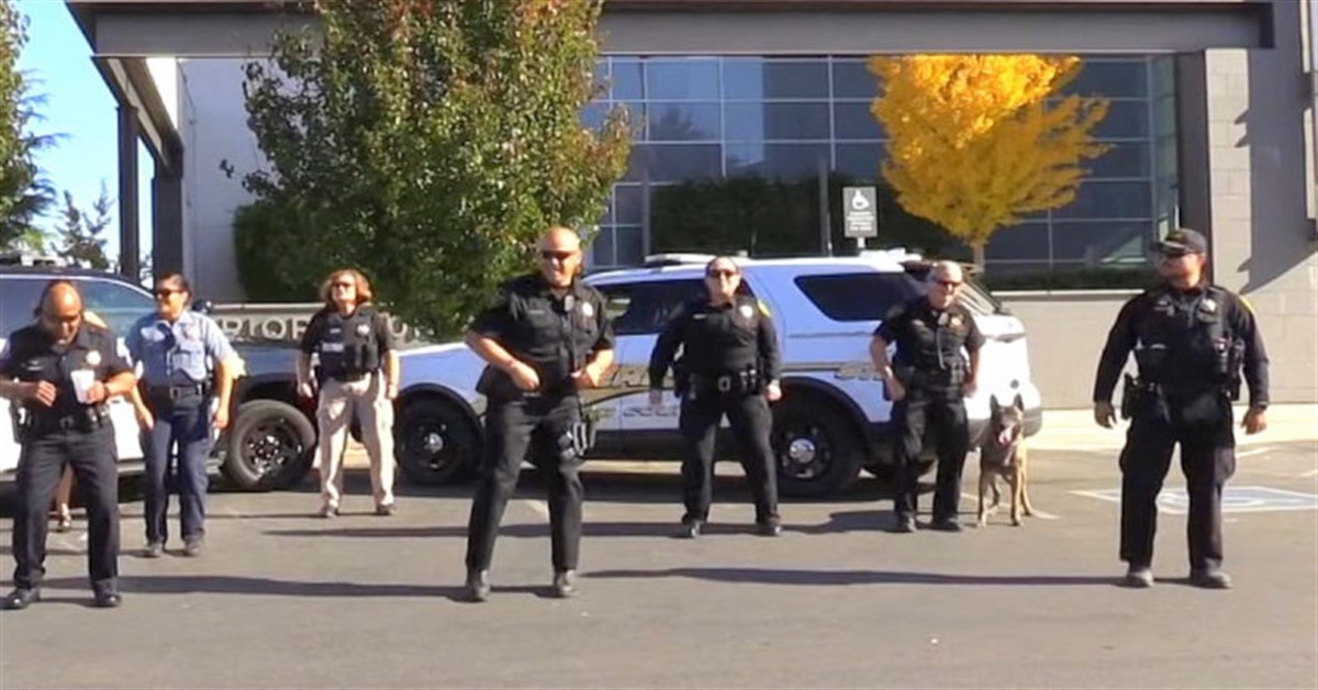 Il cane poliziotto Malinois balla con i suoi colleghi (video)