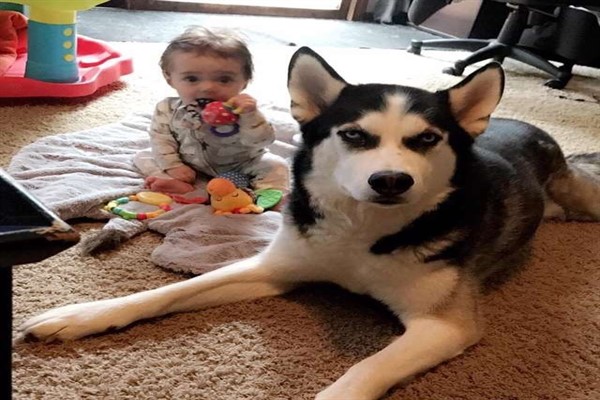 Husky e Braxton