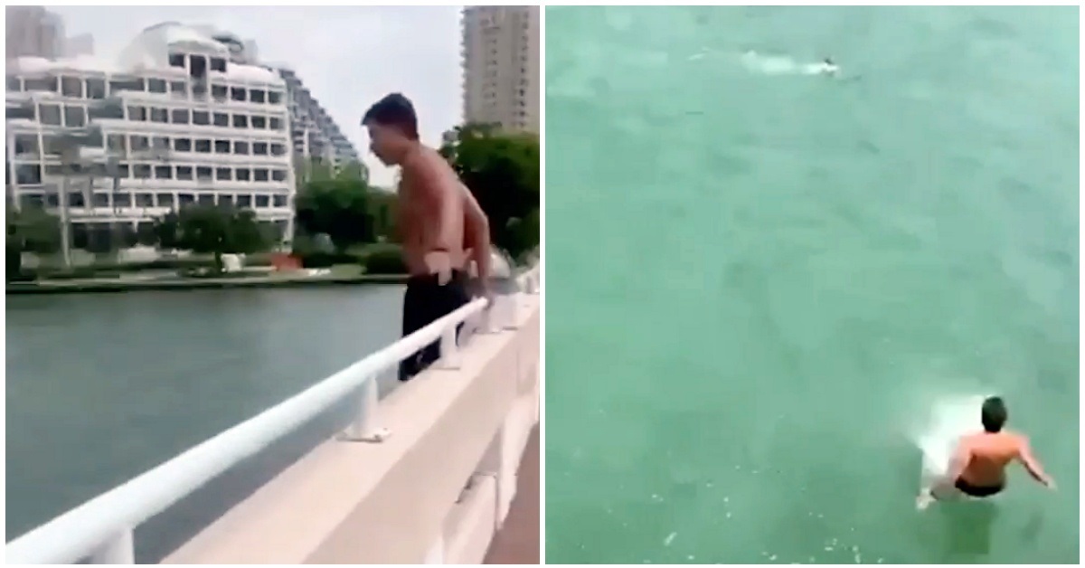 Il cucciolo sta affogando, salvato dall’uomo che si getta dal ponte (VIDEO)