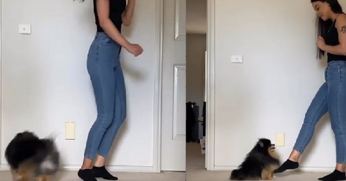Mocha, il cagnolino che sa ballare e fare sport con la padroncina (video)