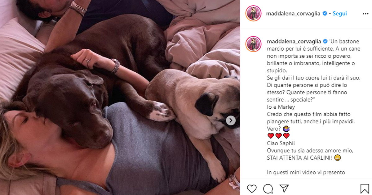Addio a Saphi, la cagnolina di Maddalena Corvaglia: il post commovente