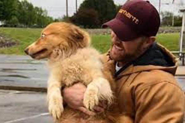 Cane con il proprietario