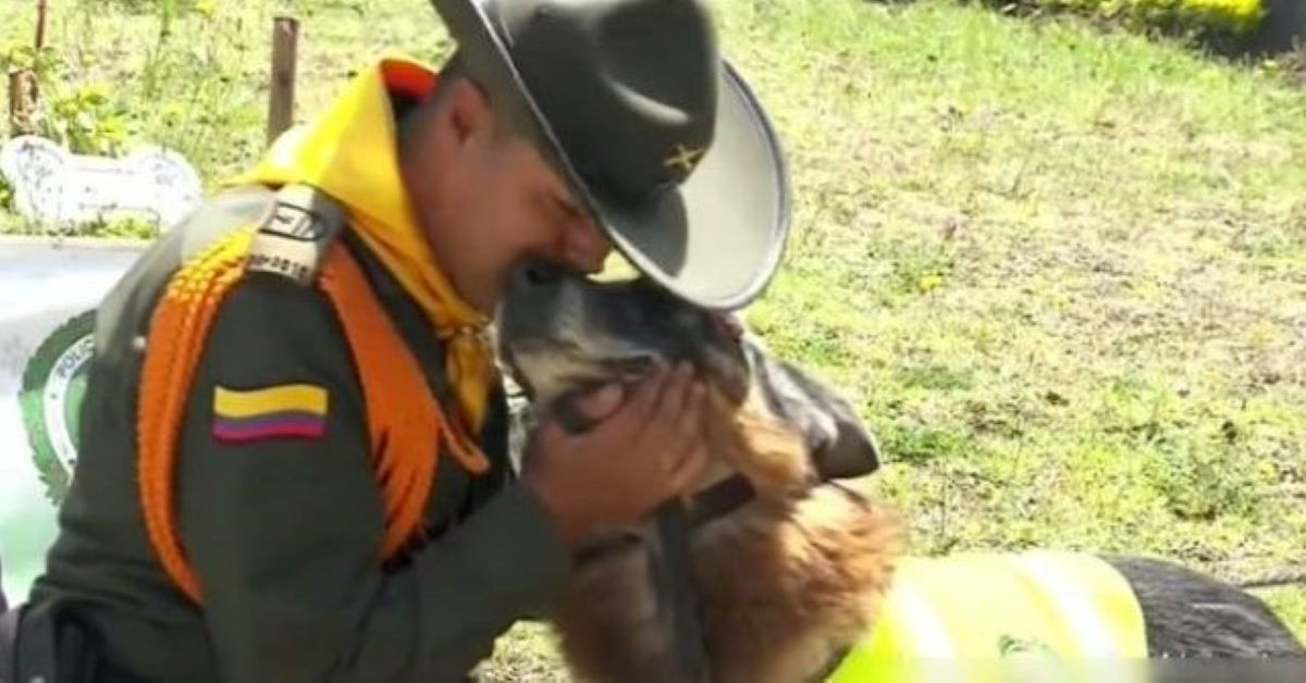 Cafu, il cane poliziotto in pensione che aspetta casa (video)
