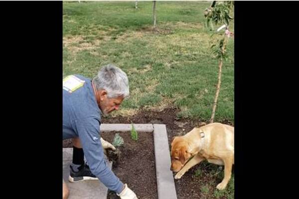 Cane con uomo in giardino