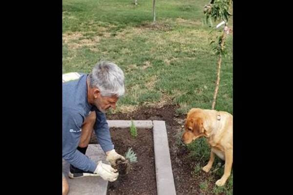 Cane con uomo in giardino