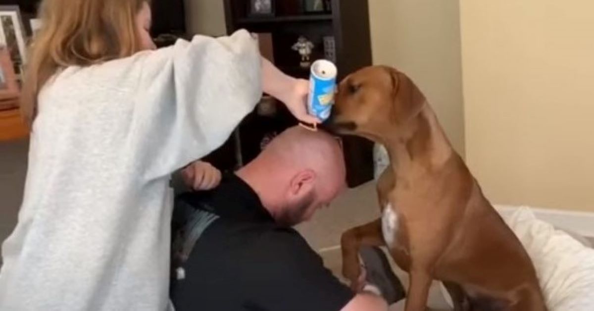 Jax è un cane che non vuole tagliate le unghie e il suo padrone si riempie la testa di formaggio per distrarlo (video)