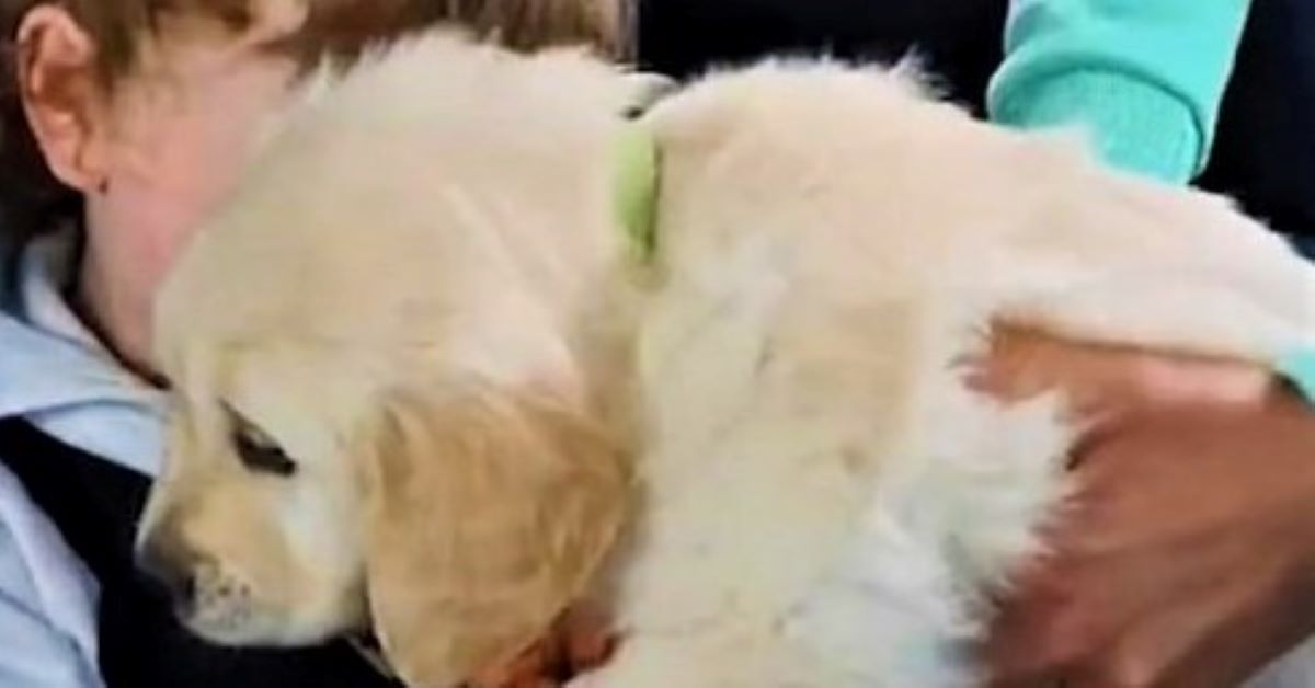 Marley, il cane regalato in quarantena a un bambino autistico (video)