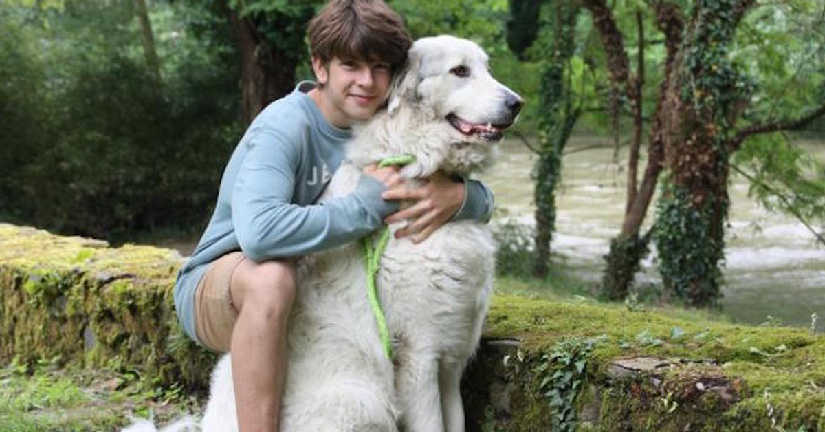 Oral, il cane che deve la vita ad un ragazzo di 14 anni