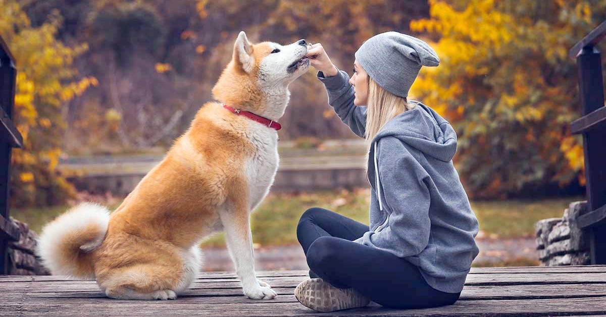 una ragazza dà da mangiare al suo cane