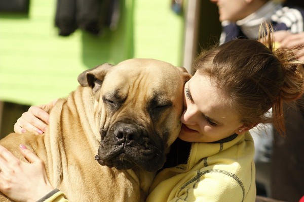 cane e ragazza