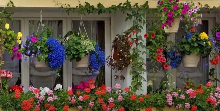 cane vicina fiori finestra
