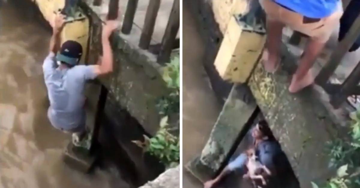 Il salvataggio di un cagnolino caduto nel fiume in piena (VIDEO)