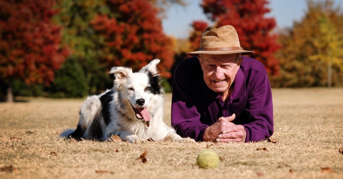 Come migliorare il rapporto con il proprio cane