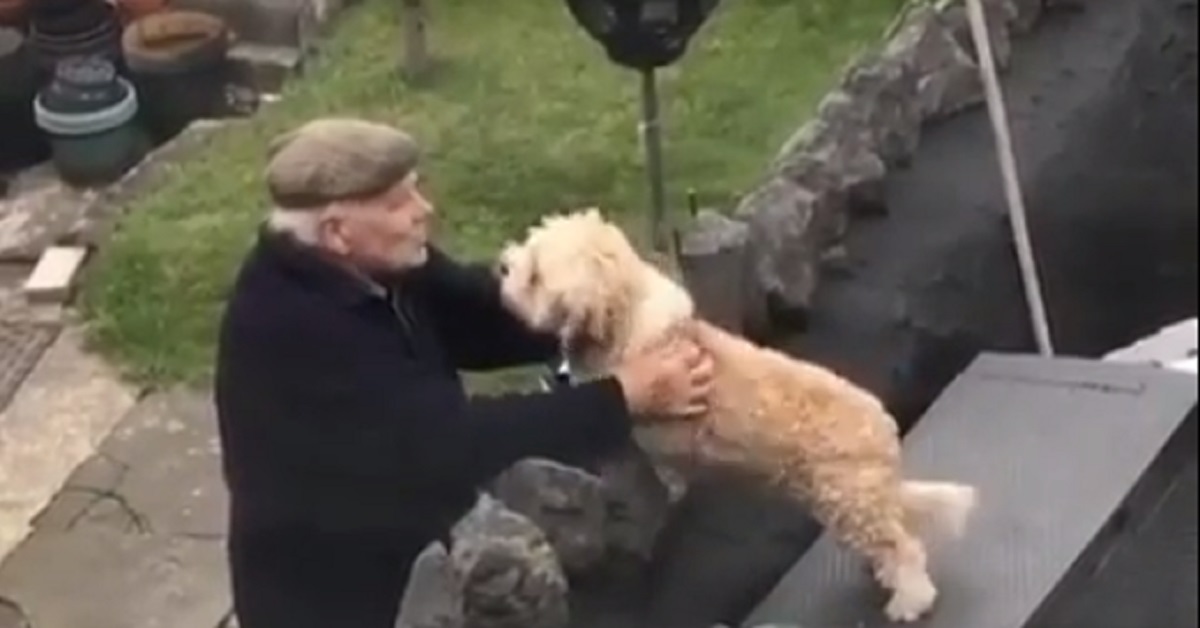 Cagnolino esce ogni giorno in cortile per incontrare il suo amico anziano