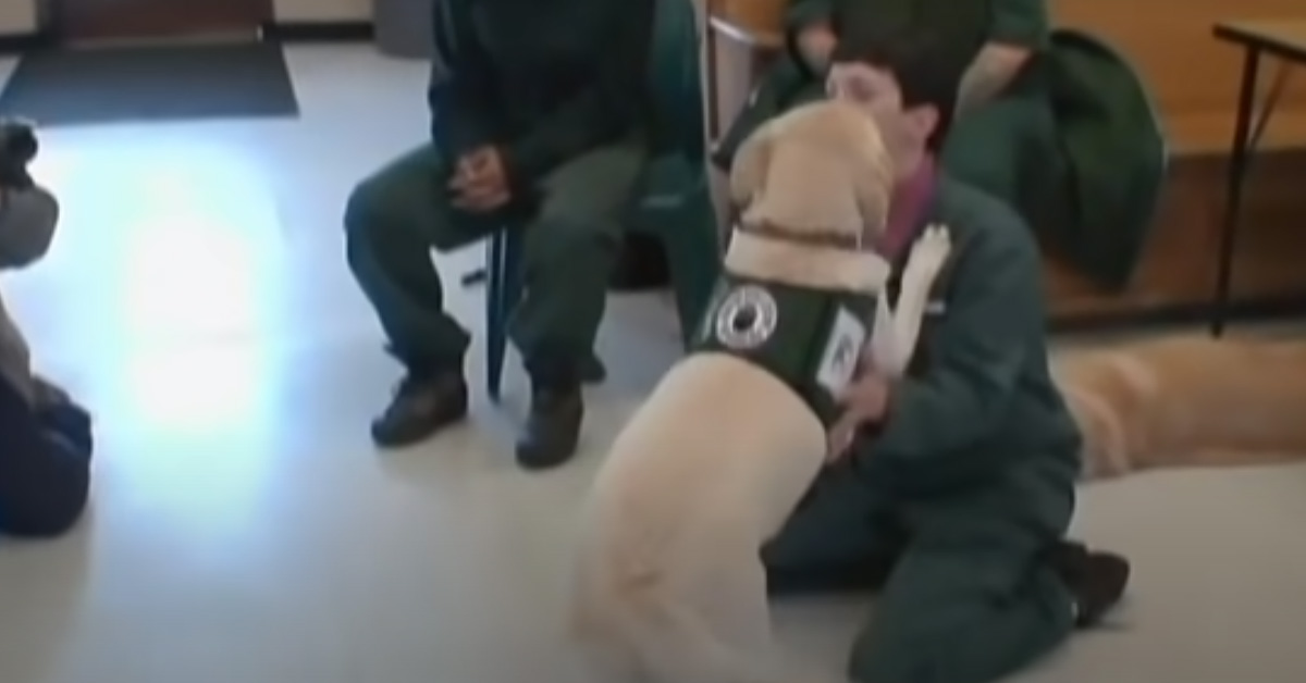 Cagnolino va in prigione con un soldato e incontra la sua ex proprietaria (video)