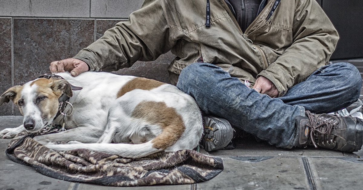 Il cagnolino balla con il proprietario senzatetto e il video emoziona il web