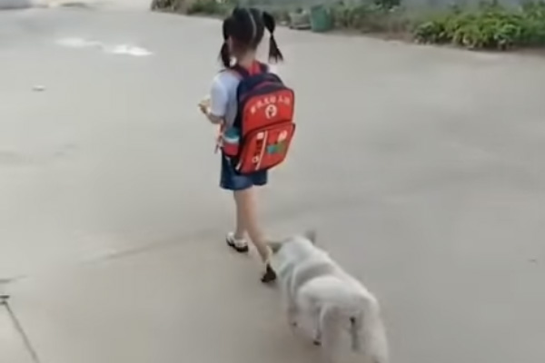 Cagnolino con una bambina