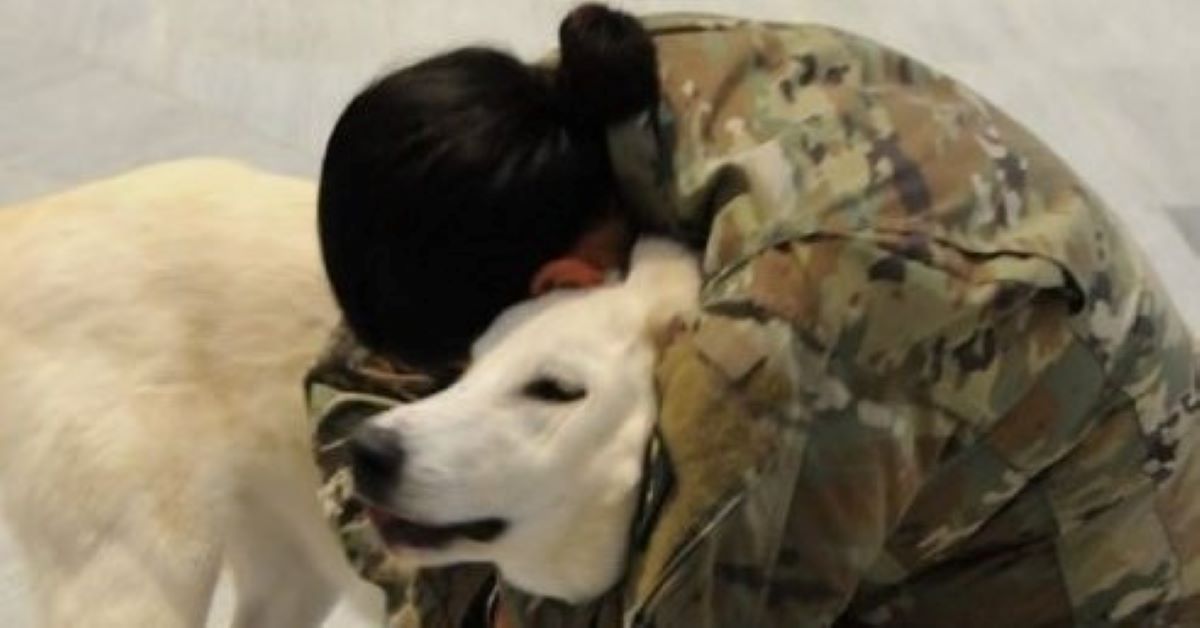 Kaisma, il cane che ha rincontrato la donna militare che lo ha salvato (video)