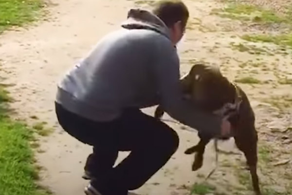 Cane abbraccia il proprietario