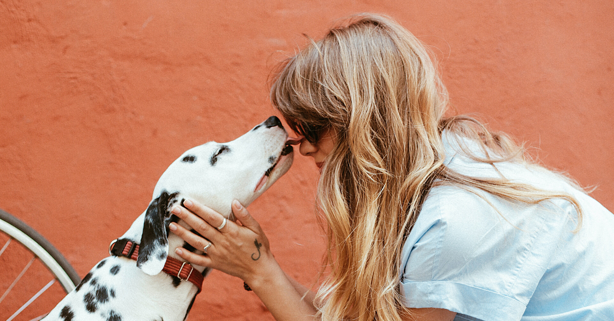 Cucciolo di cane, come vede gli umani? Ecco cosa sapere