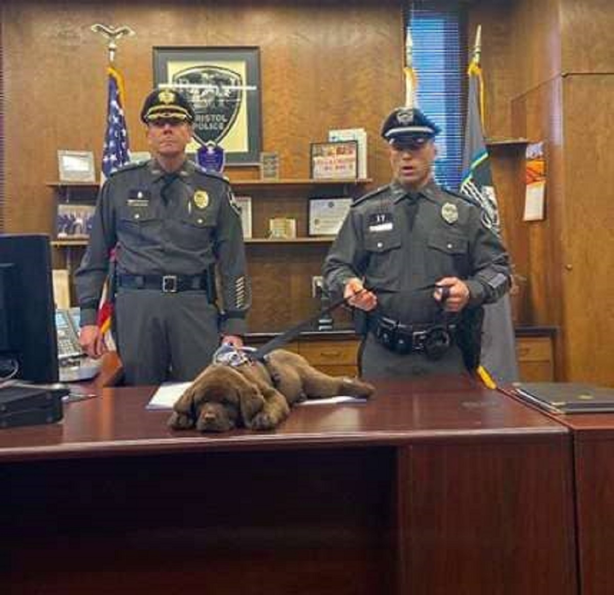 Brody e gli agenti di polizia