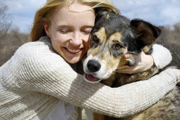 abbracciare un cane