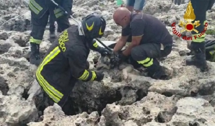 operazione vigili del fuoco cane scogli