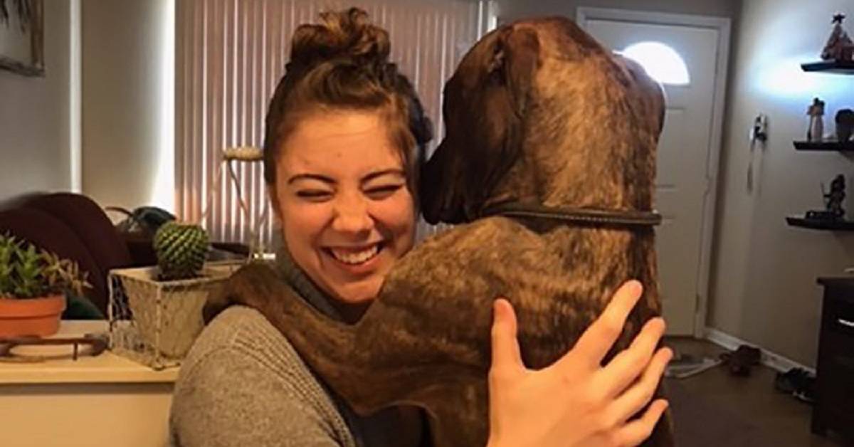 Kylo, il cane salvato che non smette di abbracciare la sua umana (VIDEO)