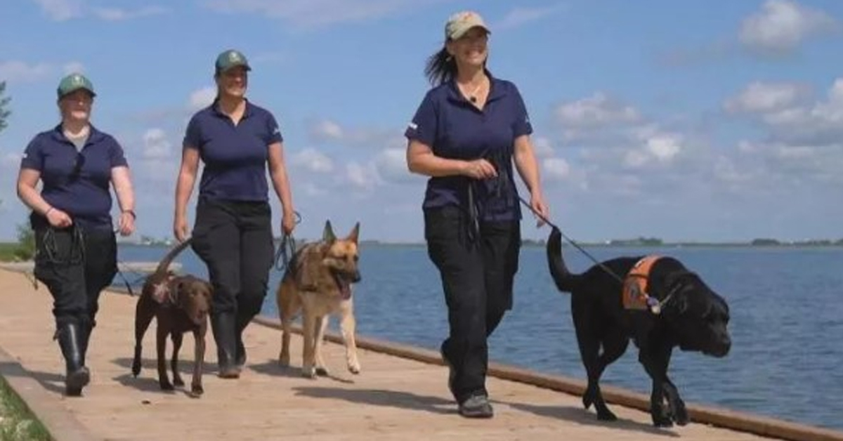 Diesel, Seuss e Hilo, i tra cani che difendono l’ambiente
